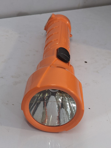 TORCH
