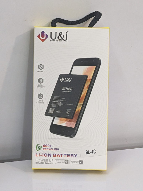 600 RECYCLING Li-iON BATTERY