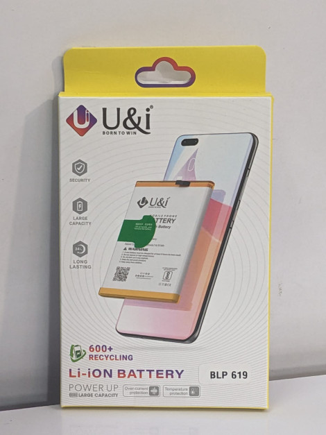 600 RECYCLING Li-iON BATTERY