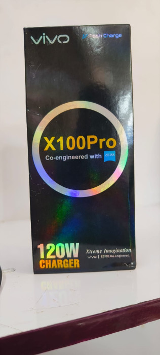 Vivo X100 Pro 120W Charger